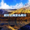 积分上海怎么算分