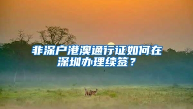 非深户港澳通行证如何在深圳办理续签？