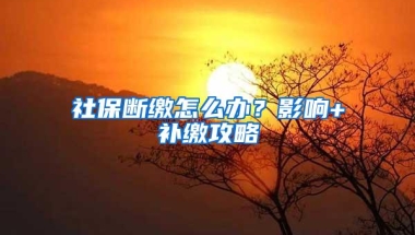 社保断缴怎么办？影响+补缴攻略