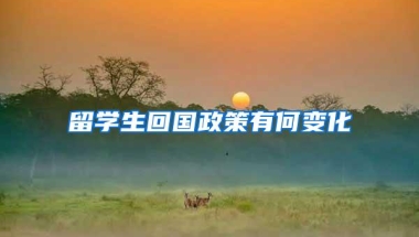 留学生回国政策有何变化