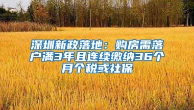 深圳新政落地：购房需落户满3年且连续缴纳36个月个税或社保