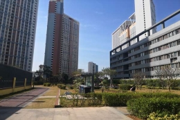 深圳集体户口迁出有要求吗的新变化，必知的二三事