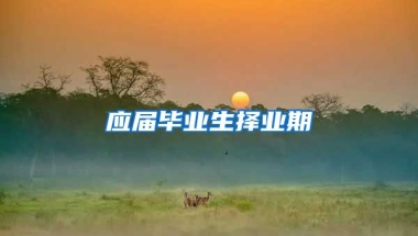 应届毕业生择业期