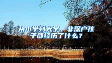 从小学到大学，非深户孩子都经历了什么？