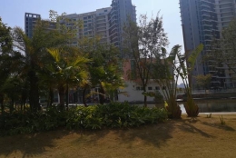 容易被忽视但有效的深圳留学生入户办理攻略应对方法