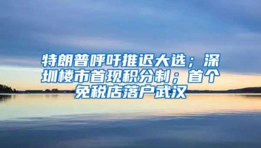 特朗普呼吁推迟大选；深圳楼市首现积分制；首个免税店落户武汉