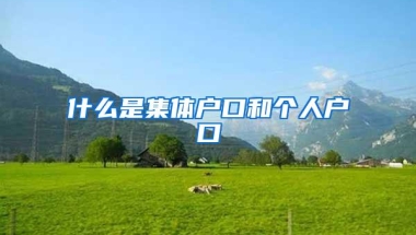 什么是集体户口和个人户口