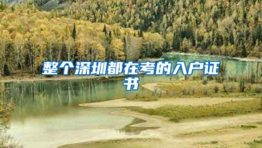 整个深圳都在考的入户证书