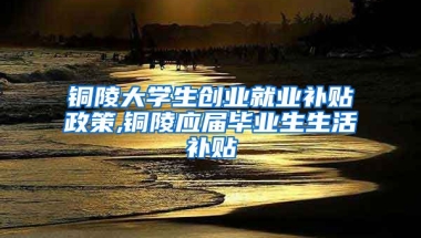 铜陵大学生创业就业补贴政策,铜陵应届毕业生生活补贴