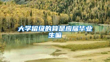 大学留级的算是应届毕业生嘛