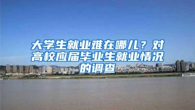 大学生就业难在哪儿？对高校应届毕业生就业情况的调查