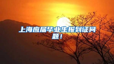上海应届毕业生报到证问题！