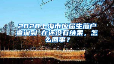 2020上海市应届生落户查询到現在还没有结果，怎么回事？