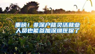 重磅！非深户籍灵活就业人员也能参加深圳医保了