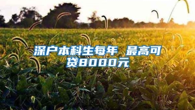 深户本科生每年 最高可贷8000元
