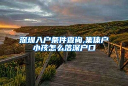 深圳入户条件查询,集体户小孩怎么落深户口