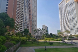 适合每位2021年深圳取消集体户口的捷径！