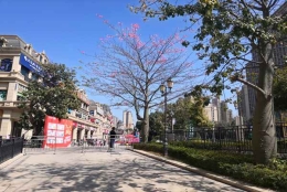 2022年佛山集体户口转个人户口指南，看这一篇就够啦！