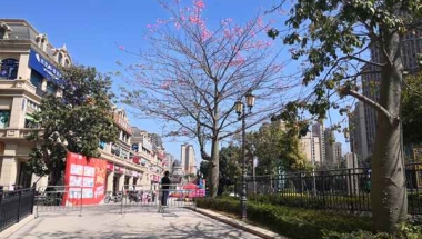 2022年佛山集体户口转个人户口指南，看这一篇就够啦！