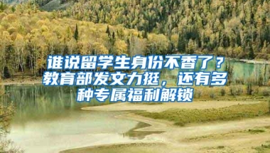 谁说留学生身份不香了？教育部发文力挺，还有多种专属福利解锁