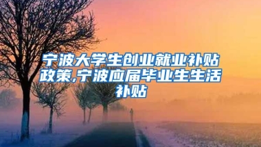 宁波大学生创业就业补贴政策,宁波应届毕业生生活补贴