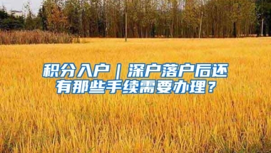 积分入户｜深户落户后还有那些手续需要办理？