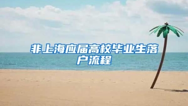非上海应届高校毕业生落户流程