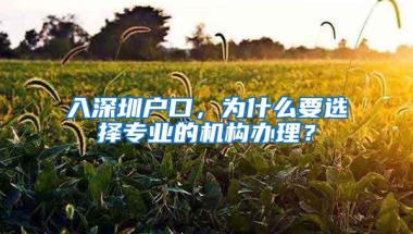 入深圳户口，为什么要选择专业的机构办理？