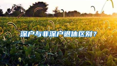 深户与非深户退休区别？