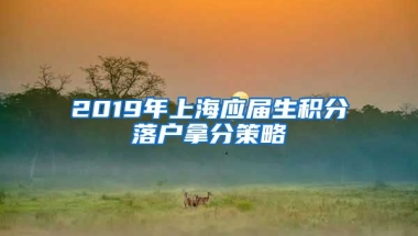 2019年上海应届生积分落户拿分策略