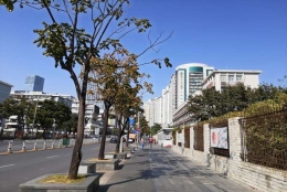 规避深圳宝宝可以上集体户口吗风险3招！