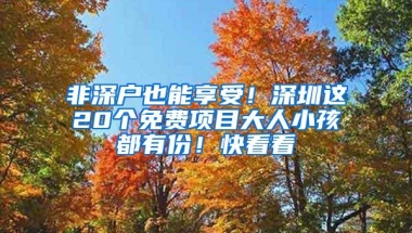 非深户也能享受！深圳这20个免费项目大人小孩都有份！快看看