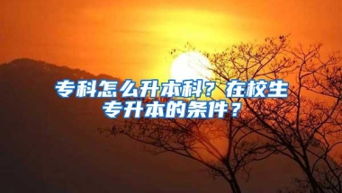 专科怎么升本科？在校生专升本的条件？