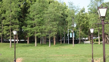 通过这篇免费的深圳集体户口小孩入户报告，解决你的困惑！