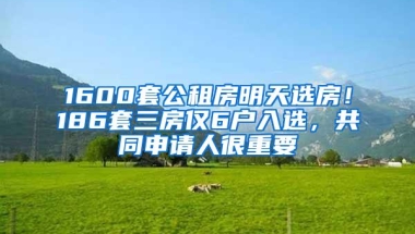 1600套公租房明天选房！186套三房仅6户入选，共同申请人很重要