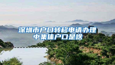 深圳市户口转移申请办理中集体户口是啥
