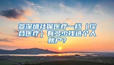 参深圳社保医疗一档（综合医疗）有多少钱进个人账户？