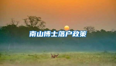 南山博士落户政策