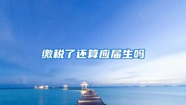 缴税了还算应届生吗