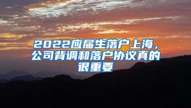2022应届生落户上海，公司背调和落户协议真的很重要