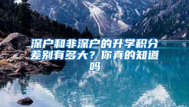 深户和非深户的升学积分差别有多大？你真的知道吗