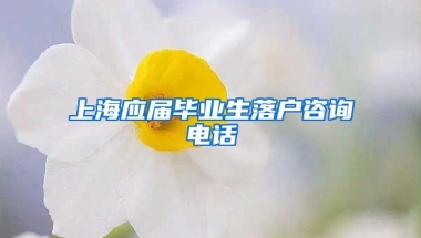 上海应届毕业生落户咨询电话