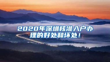 2020年深圳核准入户办理的好处和坏处！