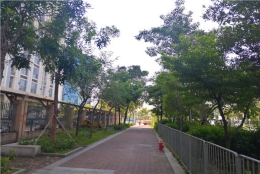 揭露深圳集体户口卡的潜规则！