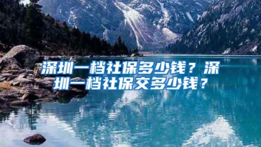 深圳一档社保多少钱？深圳一档社保交多少钱？