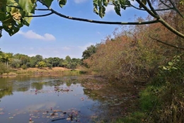 聊一聊深圳海归入户条件那些事儿