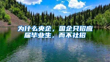 为什么央企，国企只招应届毕业生，而不社招