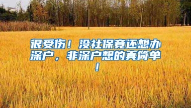 很受伤！没社保竟还想办深户，非深户想的真简单！