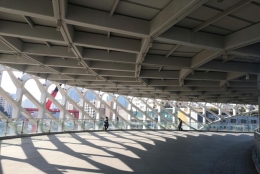 不一样的角度，深圳入户流程招调干入深的变与不变！