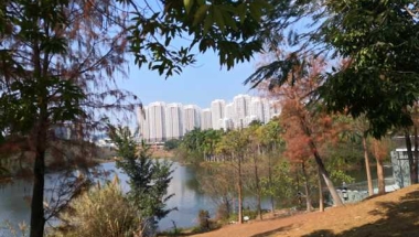 给不会深圳招工调干入户申请流程的人的建议